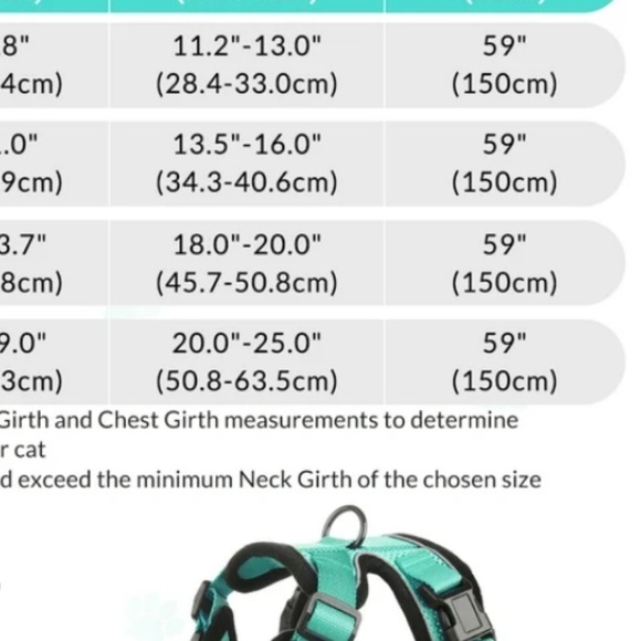 Teal Cat Harness and Leash Set - Picture 7 of 8